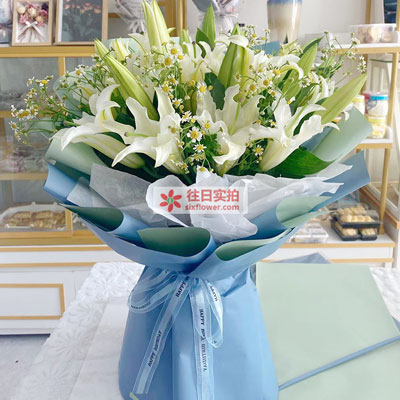 温州8支白色多头百合洋甘菊，互倾的思念