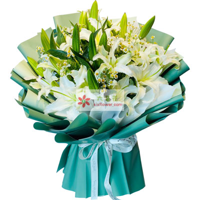 温州8支白色多头百合洋甘菊，如潮的思念
